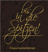 Logo von bis in die Spitzen