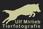 Ulf Mirlieb - Tierfotografie